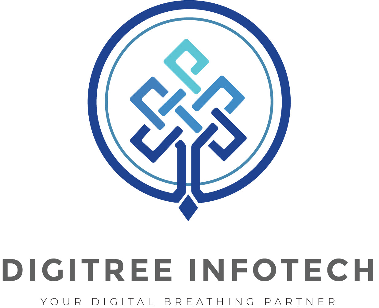 Digitree API Half-Yearly Plan